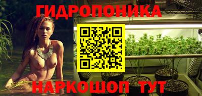 прущий лед Новозыбков