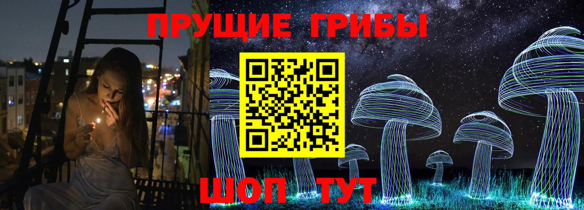 Галлюциногенные грибы Psilocybe Строитель