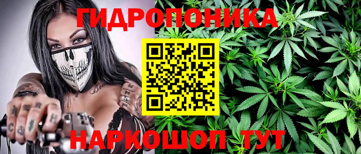 Бошки марихуана конопля  Каннабис сатива  Бошки Шишки White Widow  Строитель  Вход с VPN 